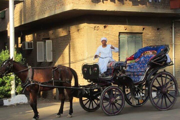 Luxor City Tour By Horse Carriage From West Bank