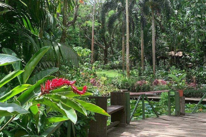 CFC Hot Spring Mud Pool,Garden Of Sleeping Giant And Village Visit Half Day Tour