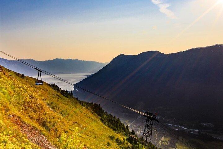 Alaska Wildlife Center and Turnagain Arm Tour w/Alyeska Tram