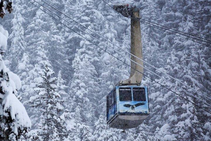 Alaska Wildlife Center and Turnagain Arm Tour w/Alyeska Tram