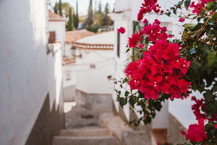 Albaicín & Sacromonte Walking Tour