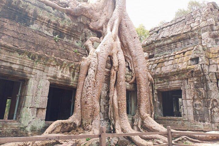 Private One Day Trip-The Best Experience in Siem Reap