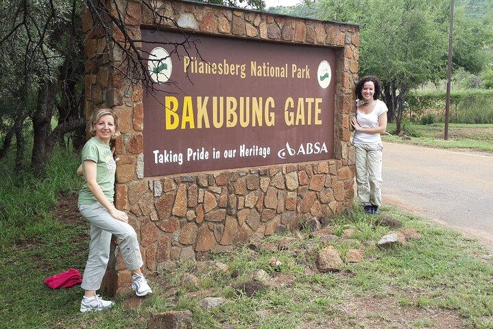 Pilanesberg National Park Safari from Johannesburg