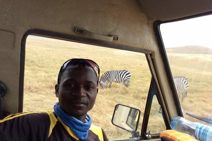 Ngorongoro Crater Day Trip
