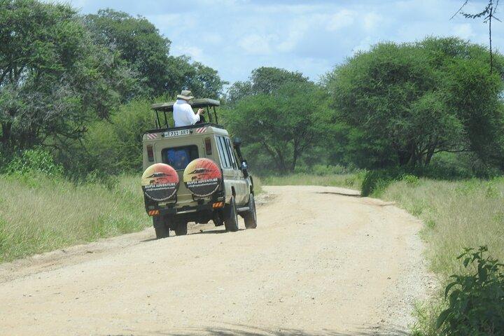 Arusha National Park Day Trip