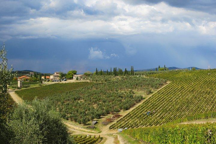 From Florence to Siena - San Gimignano & Pisa by private minivan