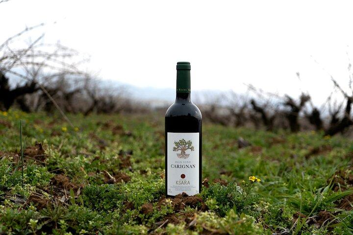 Private Bekaa Wine Tour | Saint Thomas, Kefraya & Ksara · Beirut