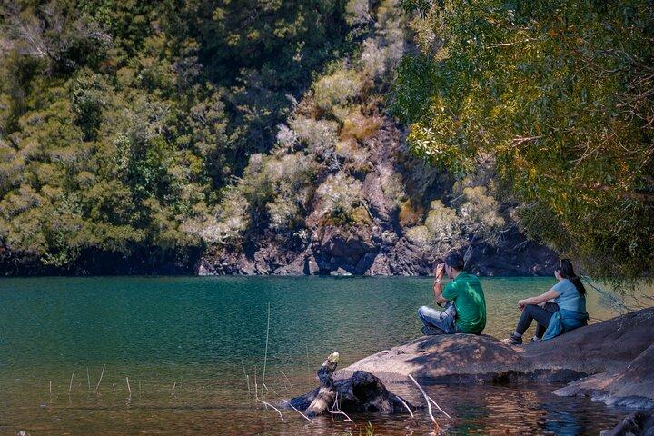 Trekking Alerce Andino National Park in Puerto Varas