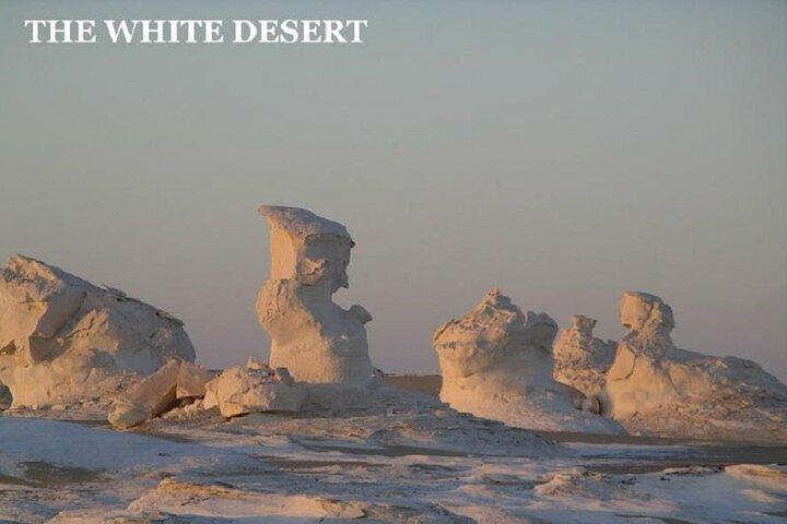 Fantastic Overnight White Desert and Baharya oasis