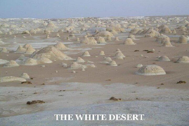 Fantastic Overnight White Desert and Baharya oasis