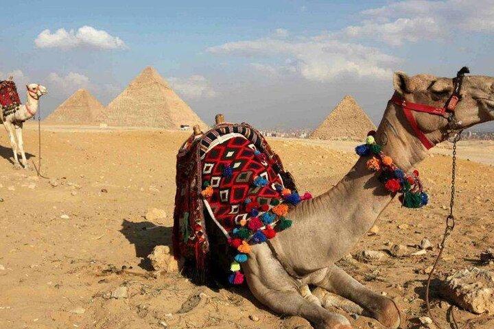 Day Trip to Cairo from Hurghada By Bus