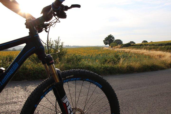 Small Group E-Bike Chianti Tour with farm lunch from Siena