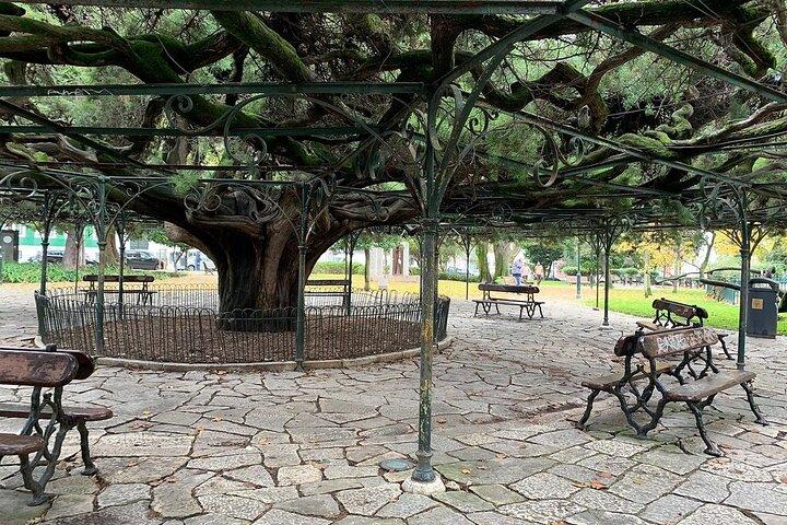 Lisbon - Small Group Walking Tour