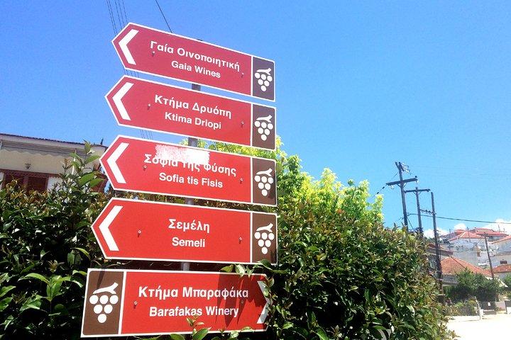 BEST Peloponnese Wine Roads Tour with Ancient Nemae