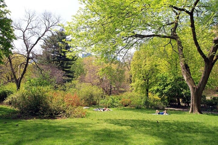 An Epic Scavenger Hunt: New York City Central Park Adventure