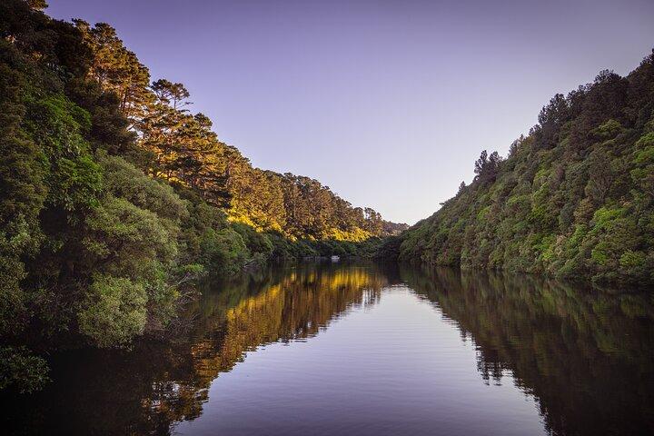 Zealandia - Twilight Guided Eco Wildlife Tour