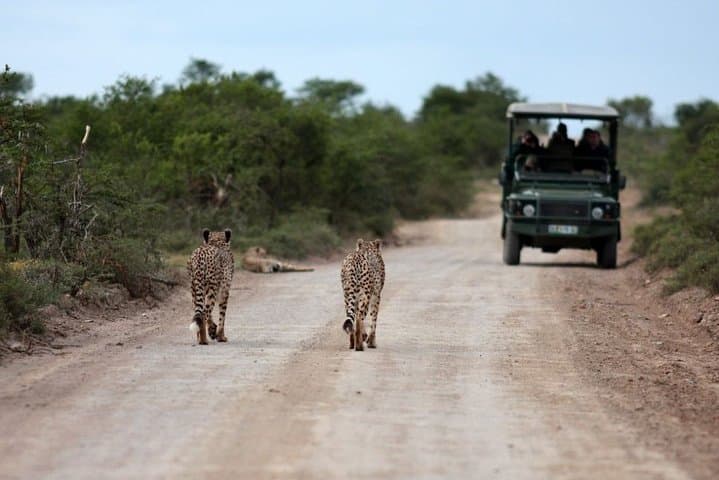 3 Days Budget Masai Mara Safari