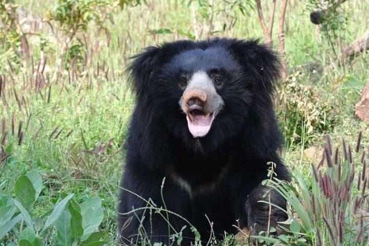 Arugambay to Yala National Park - Kumana National Park Safari