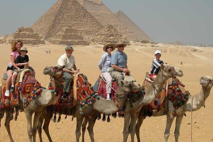 Stopover Tour from Cairo to Pyramids Sphinx - Citadel Alabaster Mosque Egypt Museum and Khan el Khalili with Lunch