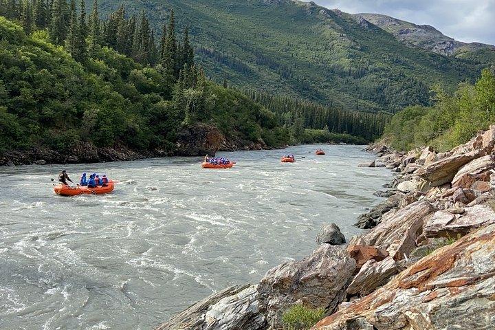 Denali Rafting Wilderness Wave