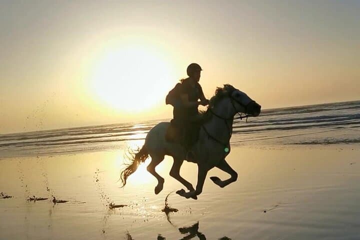 Horse riding on the beach of Essaouira 2 hours