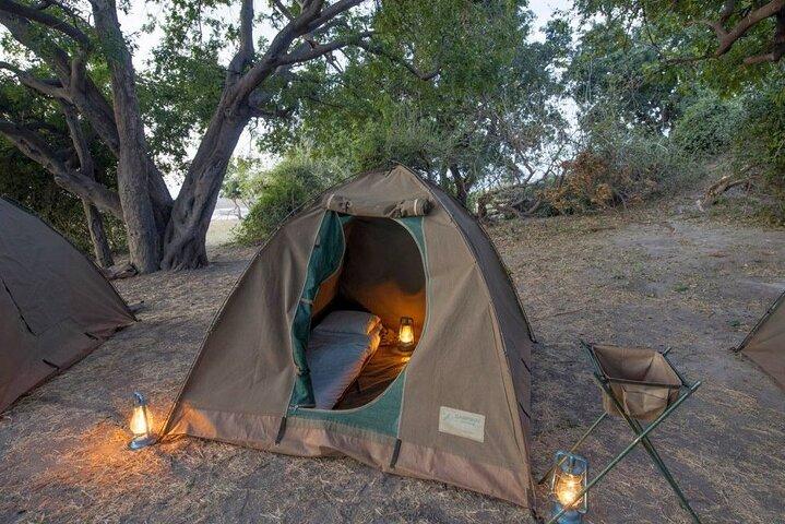2 Nights 3 Days Chobe Safari ex Livingstone/ Victoria Falls