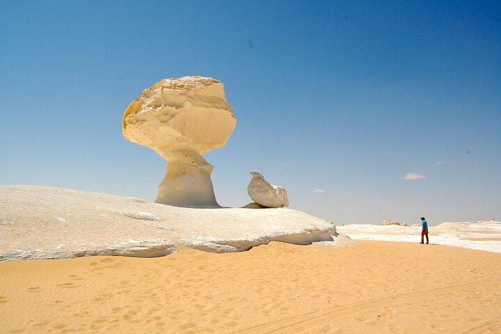 2 Days White Desert and Bahariya Oasis Tour