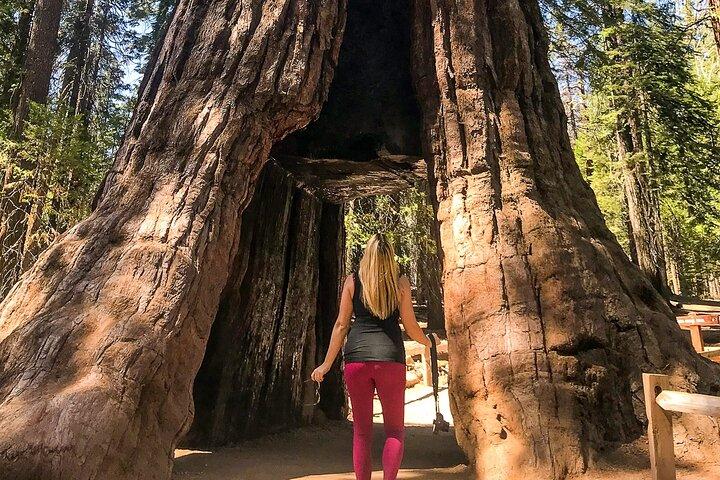 Yosemite National Park 2-Day Tour from San Francisco with Lodging