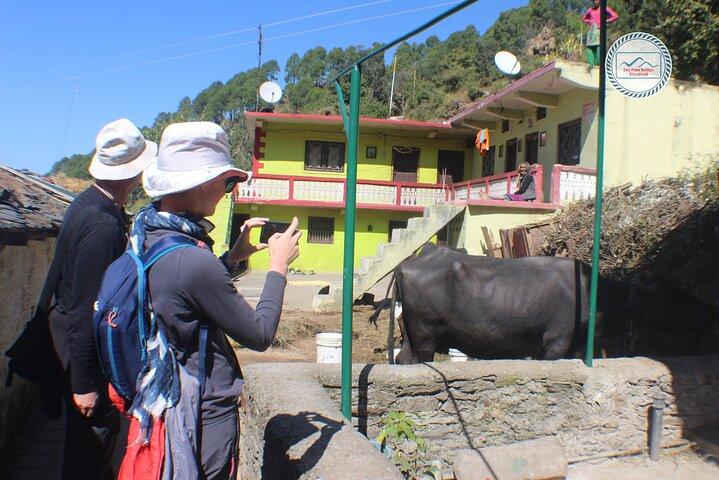 Discover Mussoorie: Private Guided Sightseeing Tour of Mussoorie