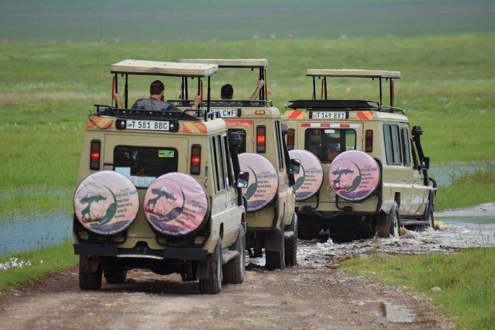 6-Day Big Five Magic Safari Tour