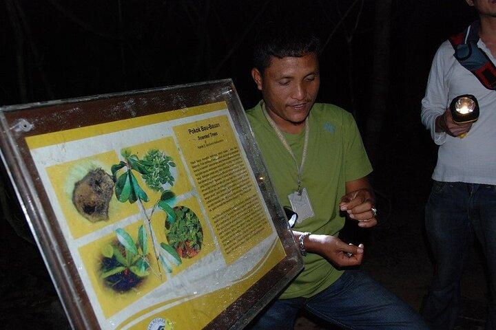 4-Day Jungle Experience in Taman Negara from Kuala Lumpur