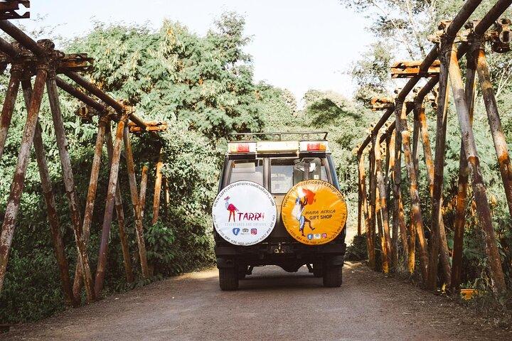 Full-Day Safari Tour Lake Manyara or Tarangire National Park