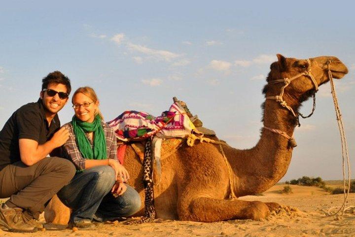Sunset Camel Ride Including BBQ Dinner From Ras Al Khaimah
