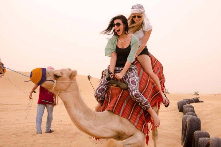 Sunset Camel Ride Including BBQ Dinner From Ras Al Khaimah