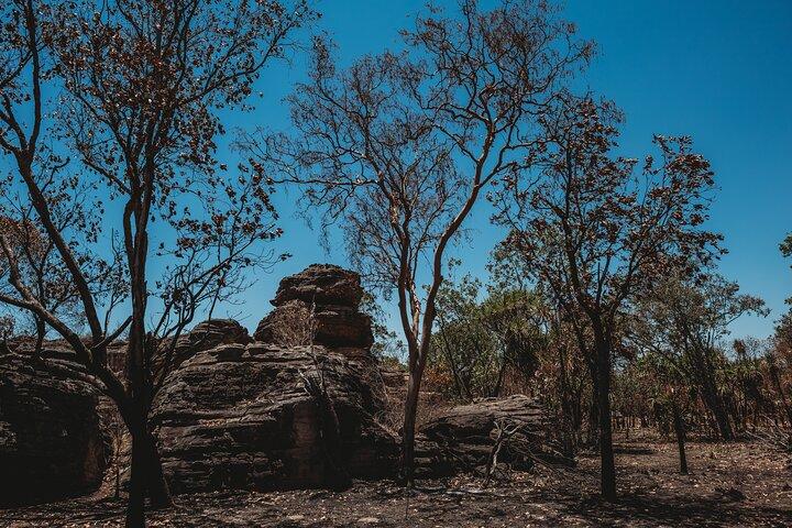 Kakadu Day Tour from Darwin with Offroad Dreaming