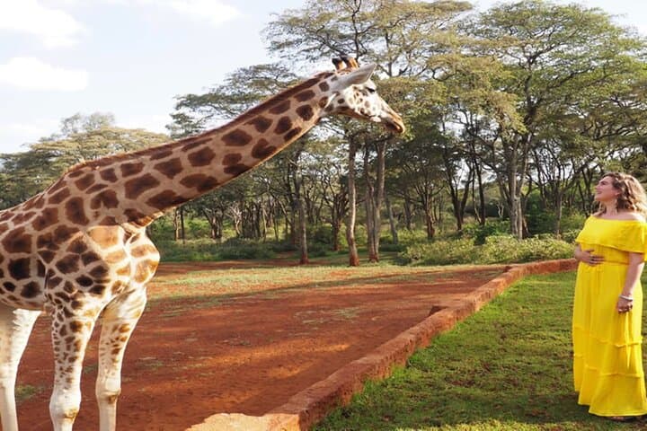 Nairobi National Park safari Experience