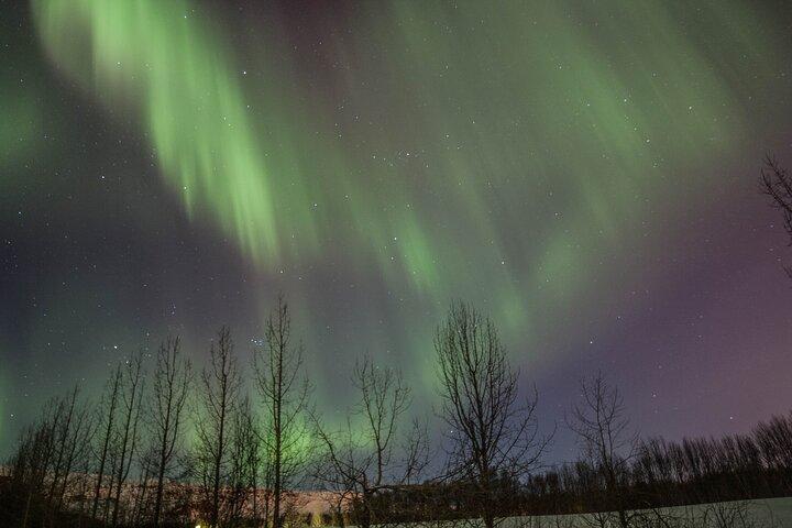 Northern Lights Classic MiniBus Tour from Akureyri