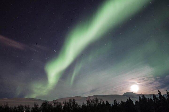 Northern Lights Classic MiniBus Tour from Akureyri