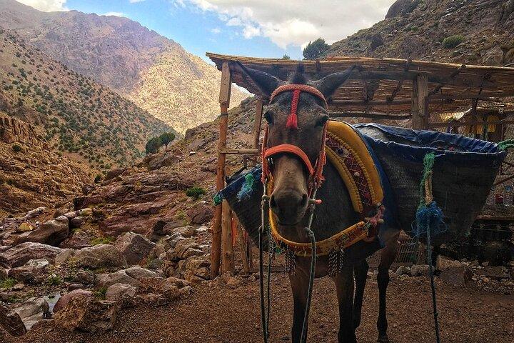 Marrakech: 3-Day Trek High Atlas Mountains and Berber Villages