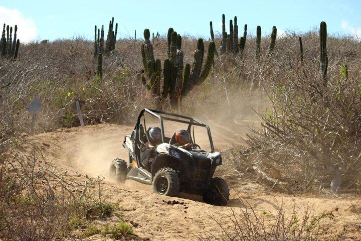 Viper Trail UTV Small-Group Experience in Cabo San Lucas