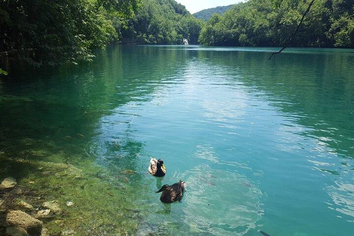 Plitvice Lakes Small Group Tour Ecco from Split or Trogir