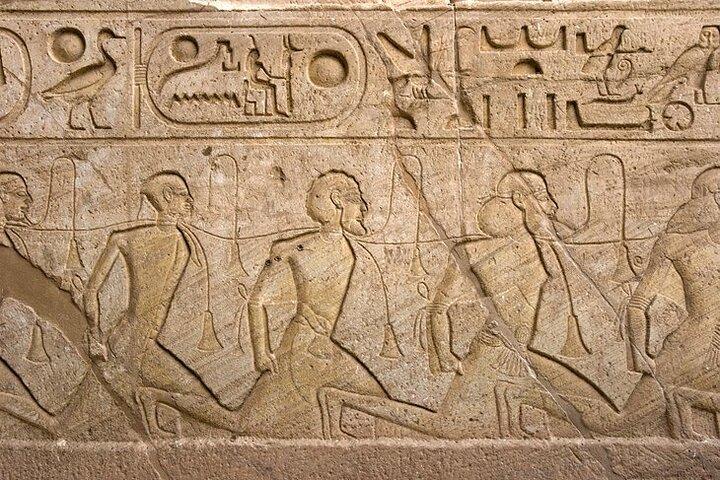 Private Day Tour to Abu Simbel Temples from Aswan - Private Tour