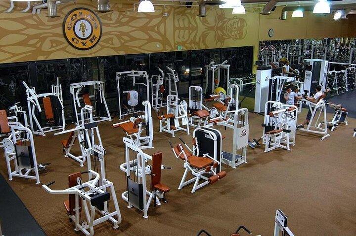 Tourist market,local food tour,the gym and coffee in Luxor