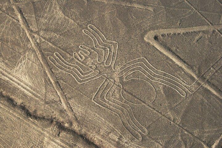 2 Day Tour from Lima: Nazca Lines Flight, Paracas, and Huacachina