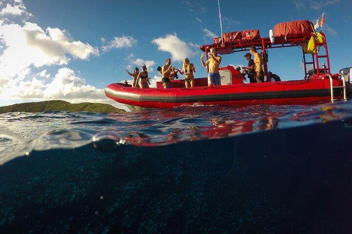 Molokini Crater + South Maui Coast Adventure from Kihei, Maui