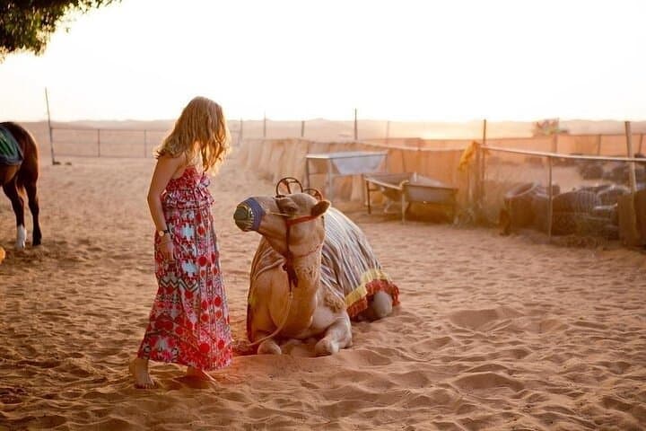 Morning Desert Safari With 20-Minutes Camel Ride
