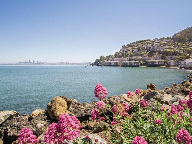 Muir Woods & Sausalito Tour