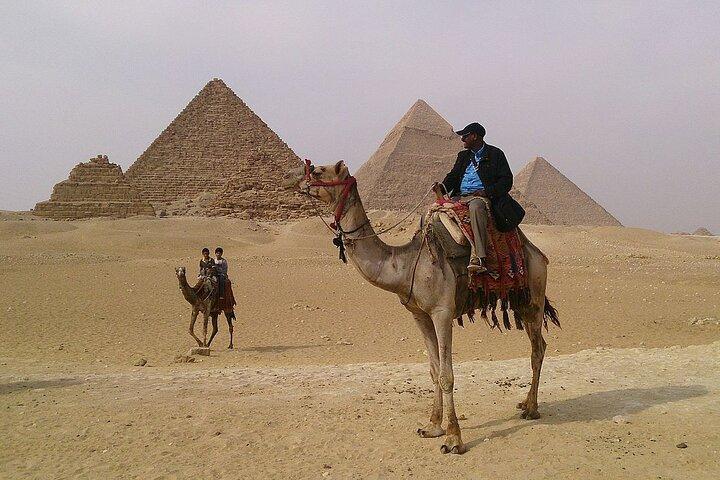 Best Guided Day-Tour to Giza and Saqqara Pyramids including Lunch from Cairo