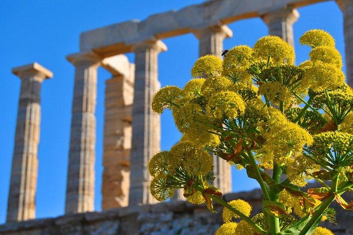 Private Full-day Athens and Temple of Poseidon Tour