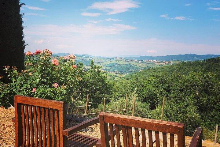 Private Top Brunello Montalcino Wine Tour & Food Pairing Session